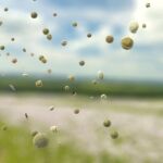 Allergens in the Air Today: How Aerobiology Helps Track Daily Exposure