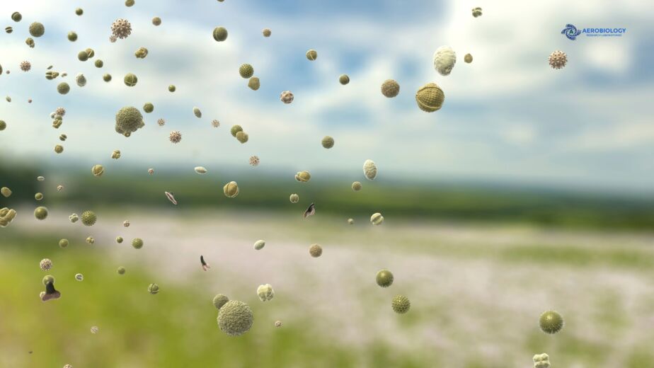 Allergens in the Air Today