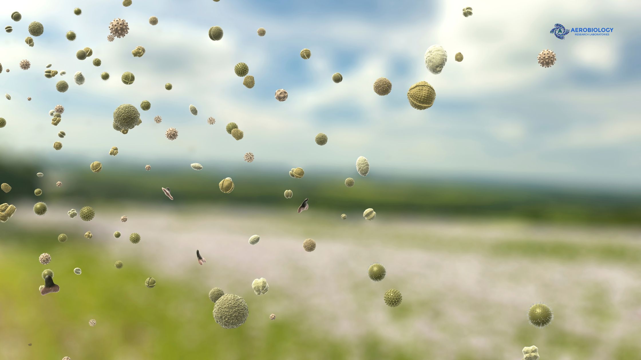 Allergens in the Air Today